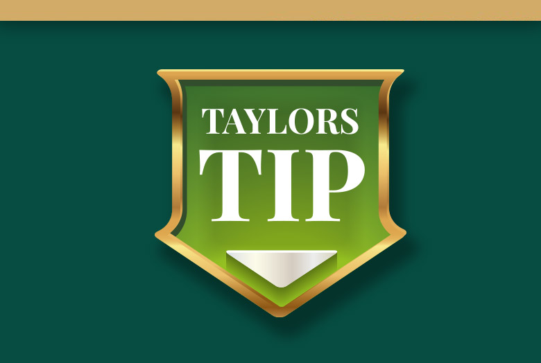 taylors-tip